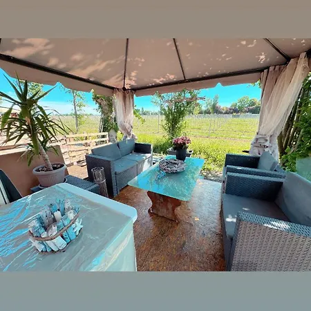 Holiday home Pineta With Exclusive Pool