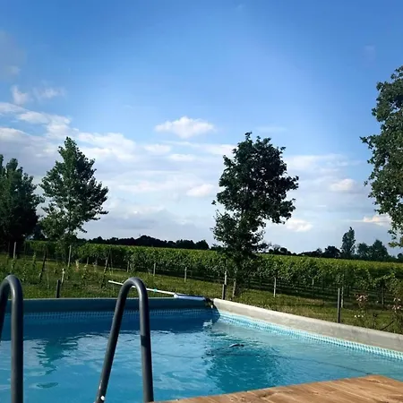 Pineta With Exclusive Pool * Campo di Pietra