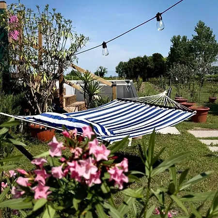 Pineta With Exclusive Pool Campo di Pietra