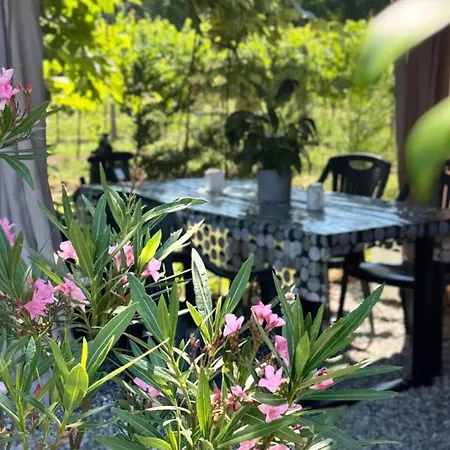 Pineta With Exclusive Pool Campo di Pietra